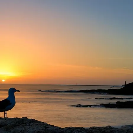 With Terrace Near The Sea Apartmán *